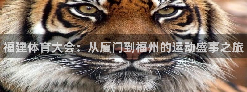 皇冠277体育