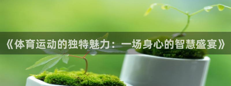 77体育app下载官网
