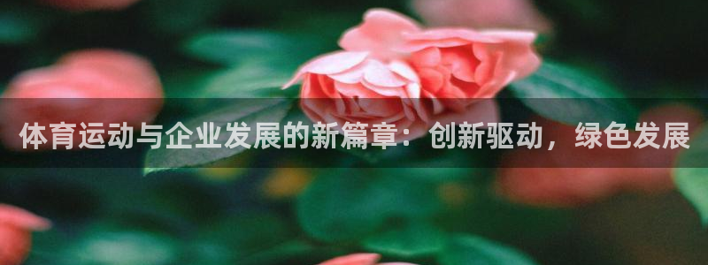 77体育官网