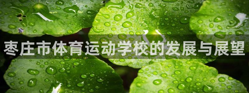 77体育app下载官网