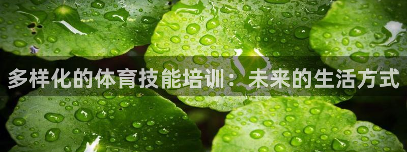 77体育官网