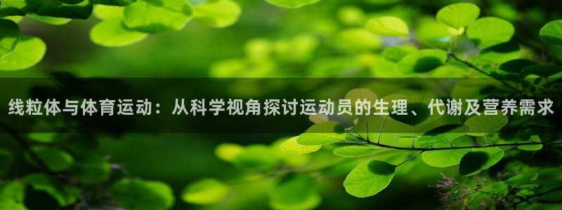77体育官网