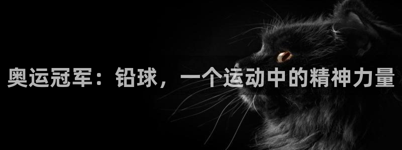 77体育app下载官网