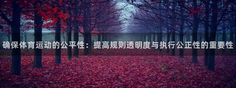 皇冠277体育：确保体育运动的公平性：提高规则透明度与执行公正性的重要性