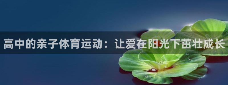 77体育app下载官网