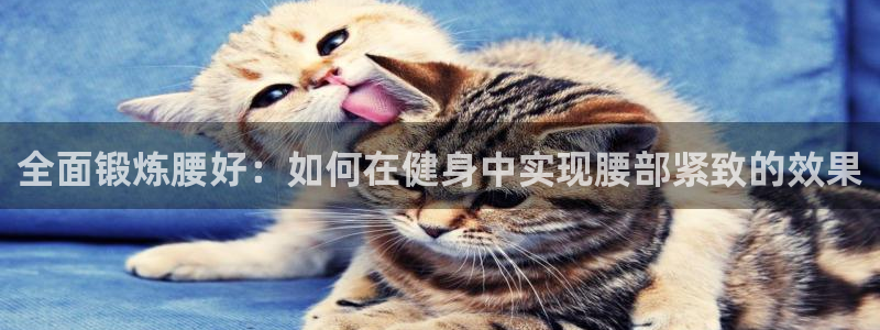 77体育