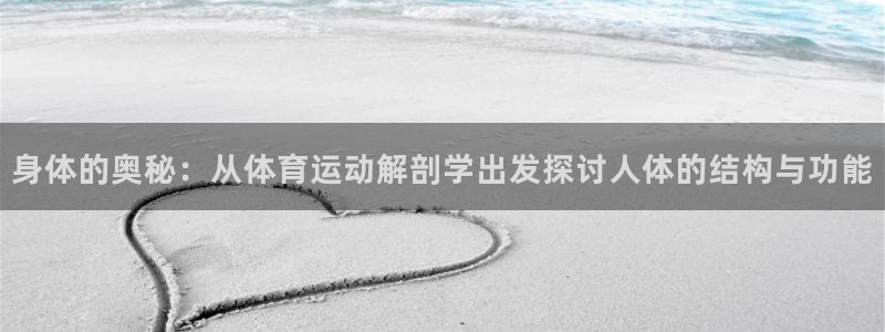 77体育app下载官网