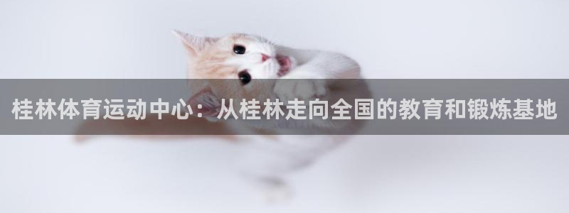 77体育app下载官网