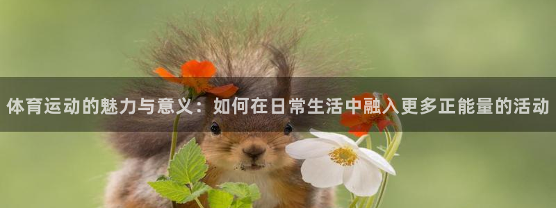 77体育app下载官网